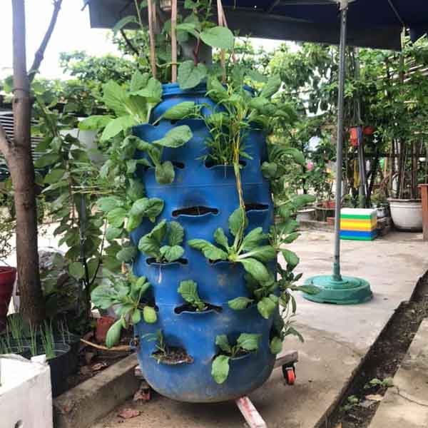 Tháp trồng rau hữu cơ tự chế từ thùng phi