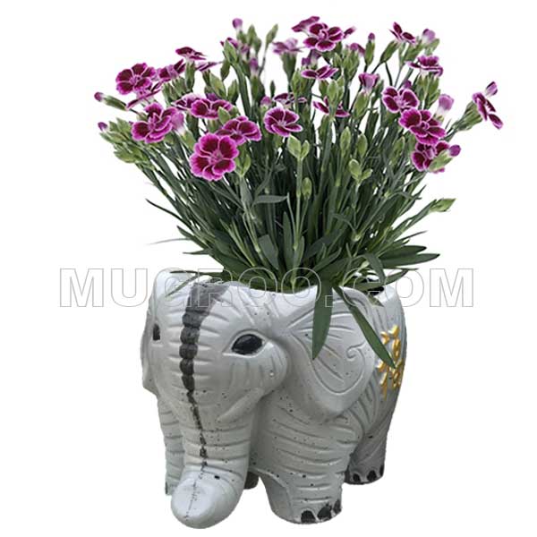 Chậu cảnh trồng hoa hình con voi