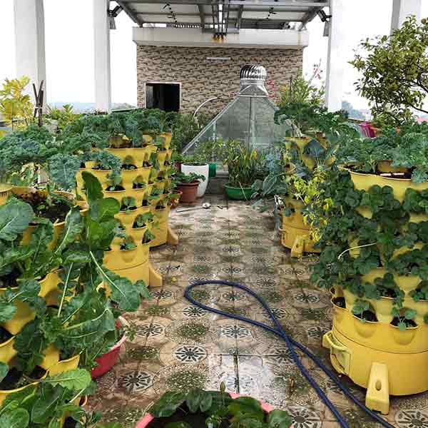 Tháp rau hữu cơ Eco trồng sân thượng