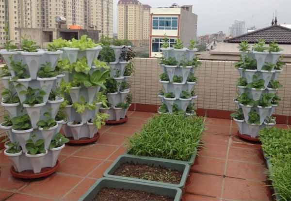 Tháp trồng rau hữu cơ 5 cánh lắp đặt trên sân thượng