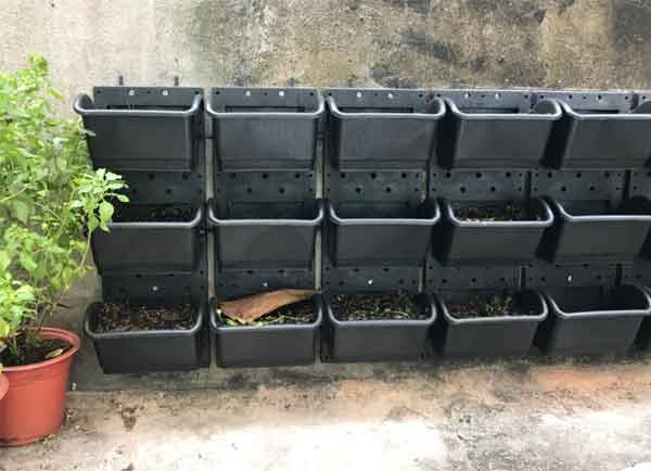 Lắp đặt khung chậu dọc theo bờ tường để trồng rau sạch