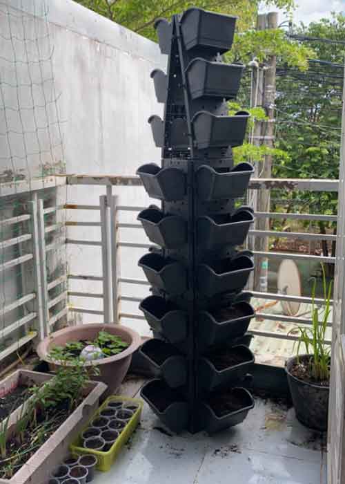 Kiểu lắp đặt bộ chậu vườn tường Holo thành tháp rau