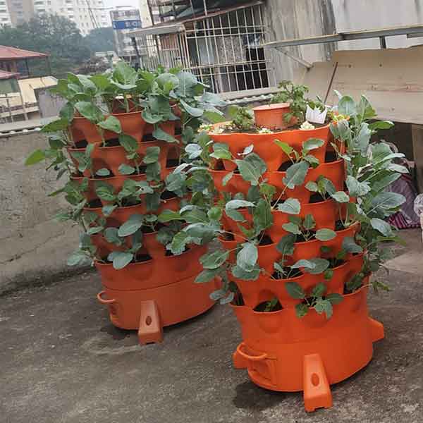 Tháp trồng rau hữu cơ Eco giải pháp tiết kiệm diện tích trồng rau