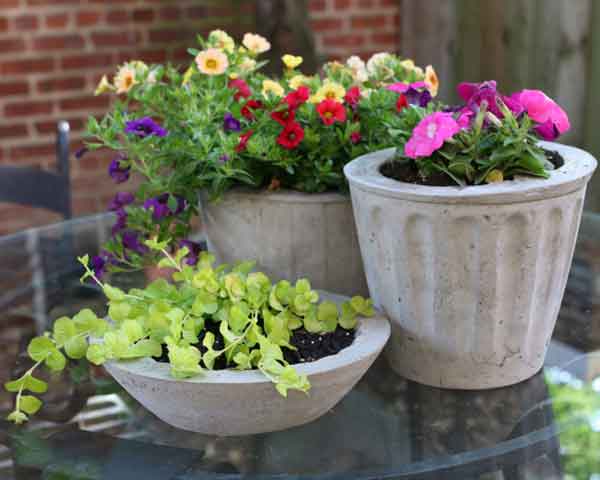 Cách làm chậu xi măng trồng hoa đơn giản tại nhà